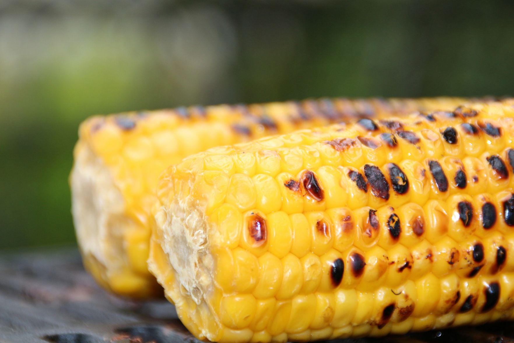 Sweet corn